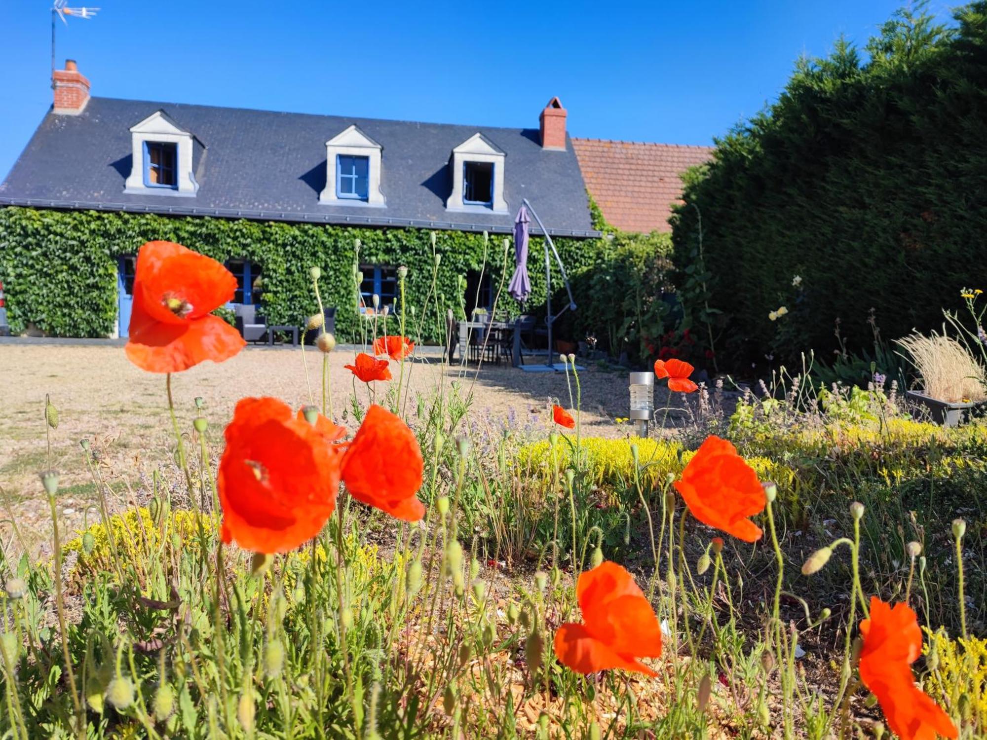 Le Clos Champetre Longué 外观 照片